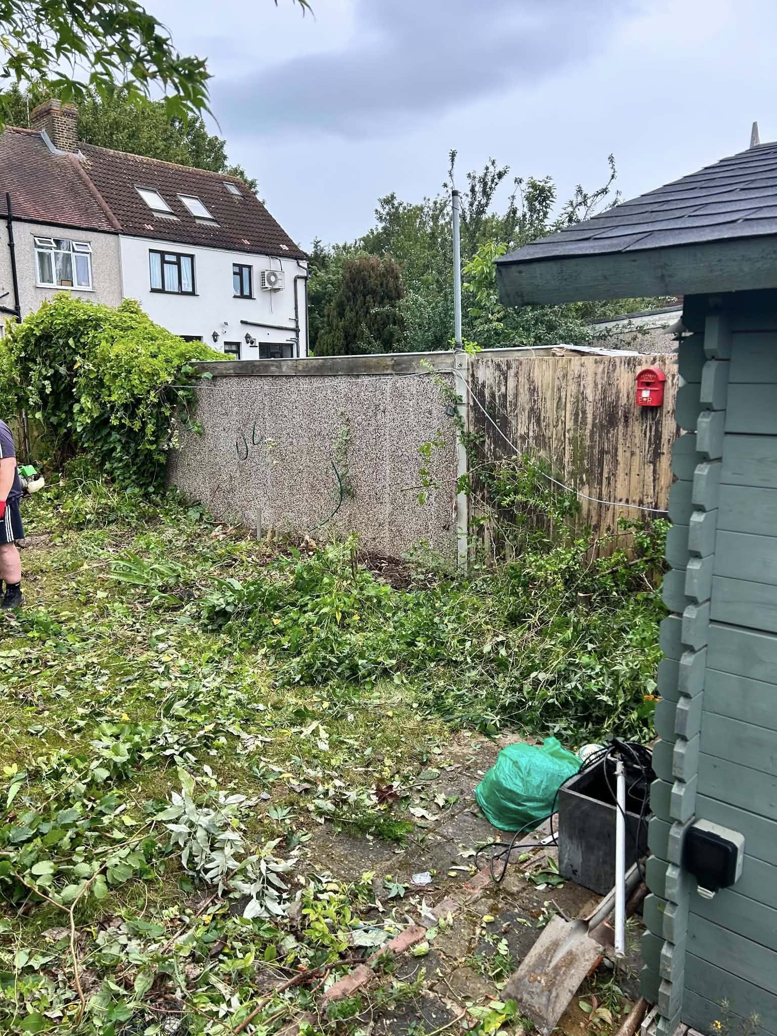 Before: overgrown garden area with green storage containers and fencing