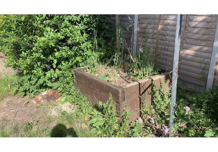 Before: overgrown garden bed with weeds and neglected plants
