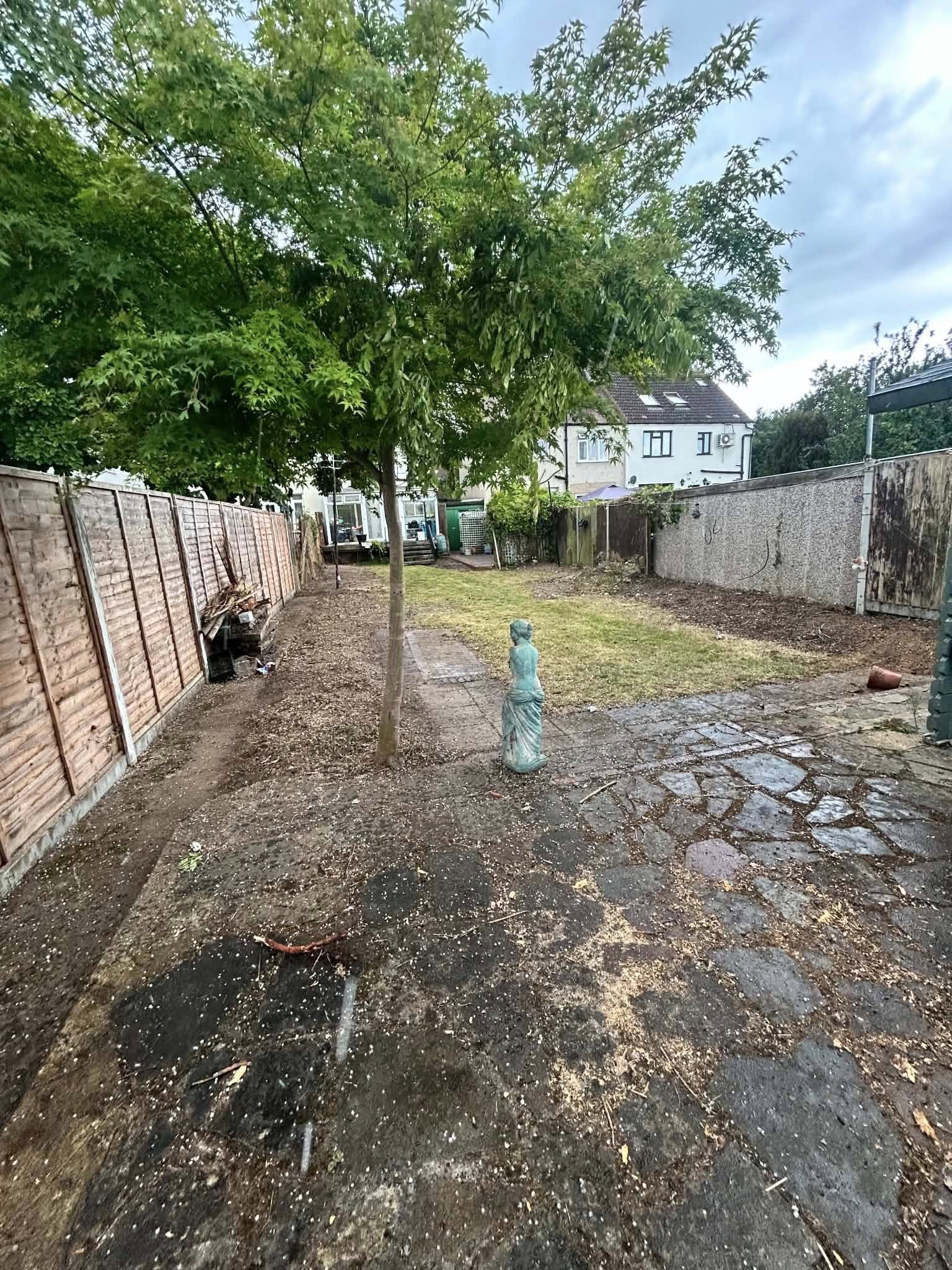 Overgrown residential garden with trees and fencing