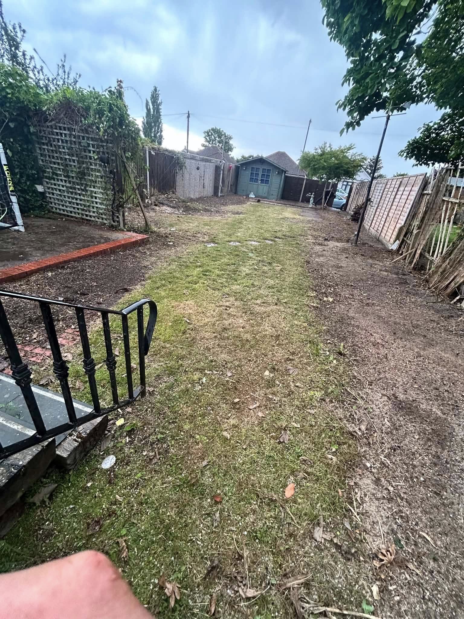 Overgrown residential garden with sheds and fencing