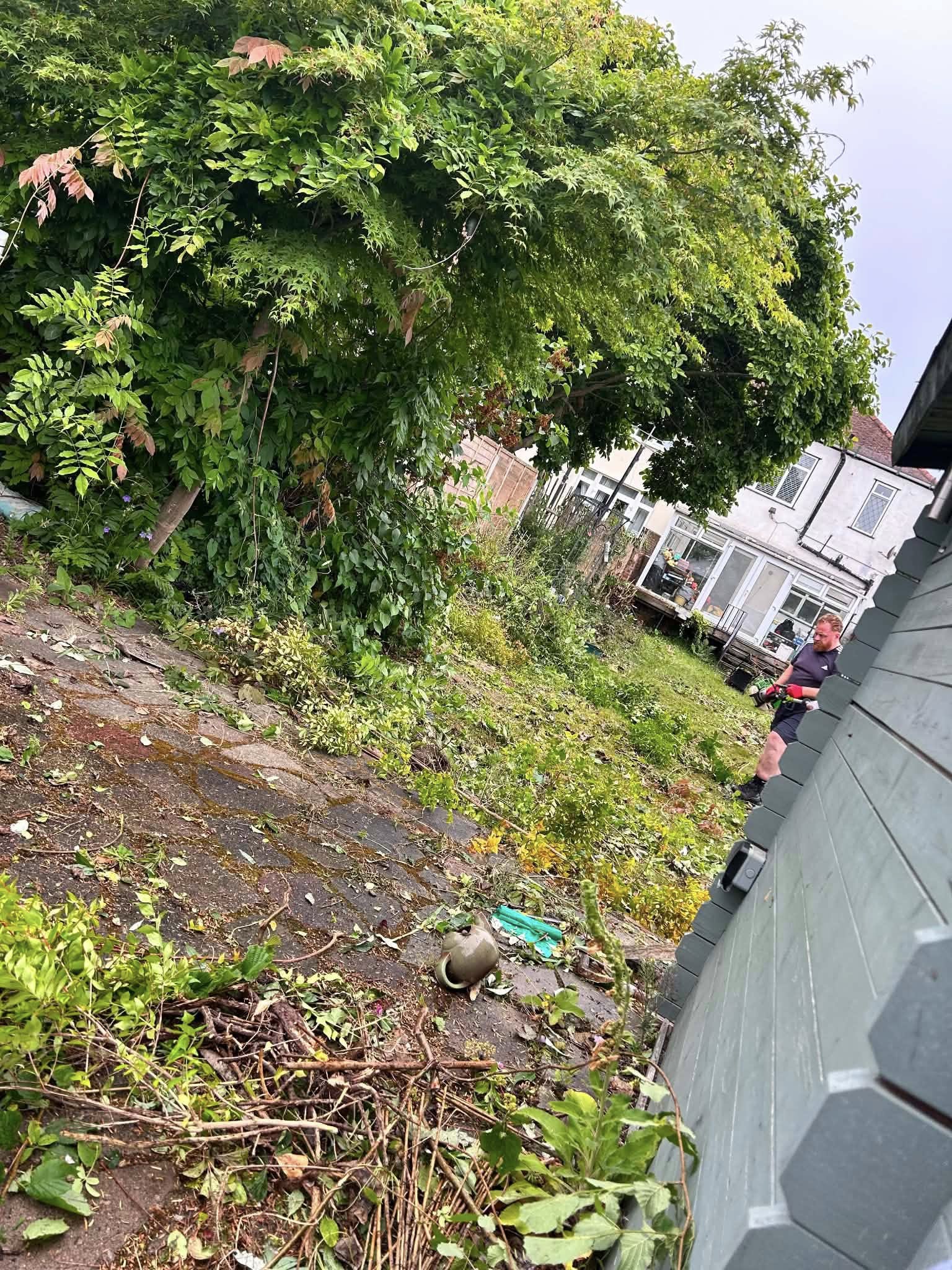 Before: overgrown garden area with dense vegetation and debris