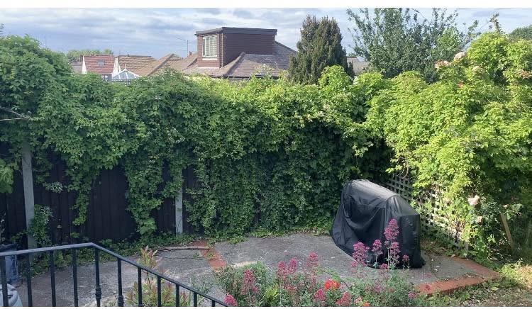 T&A Services gardening