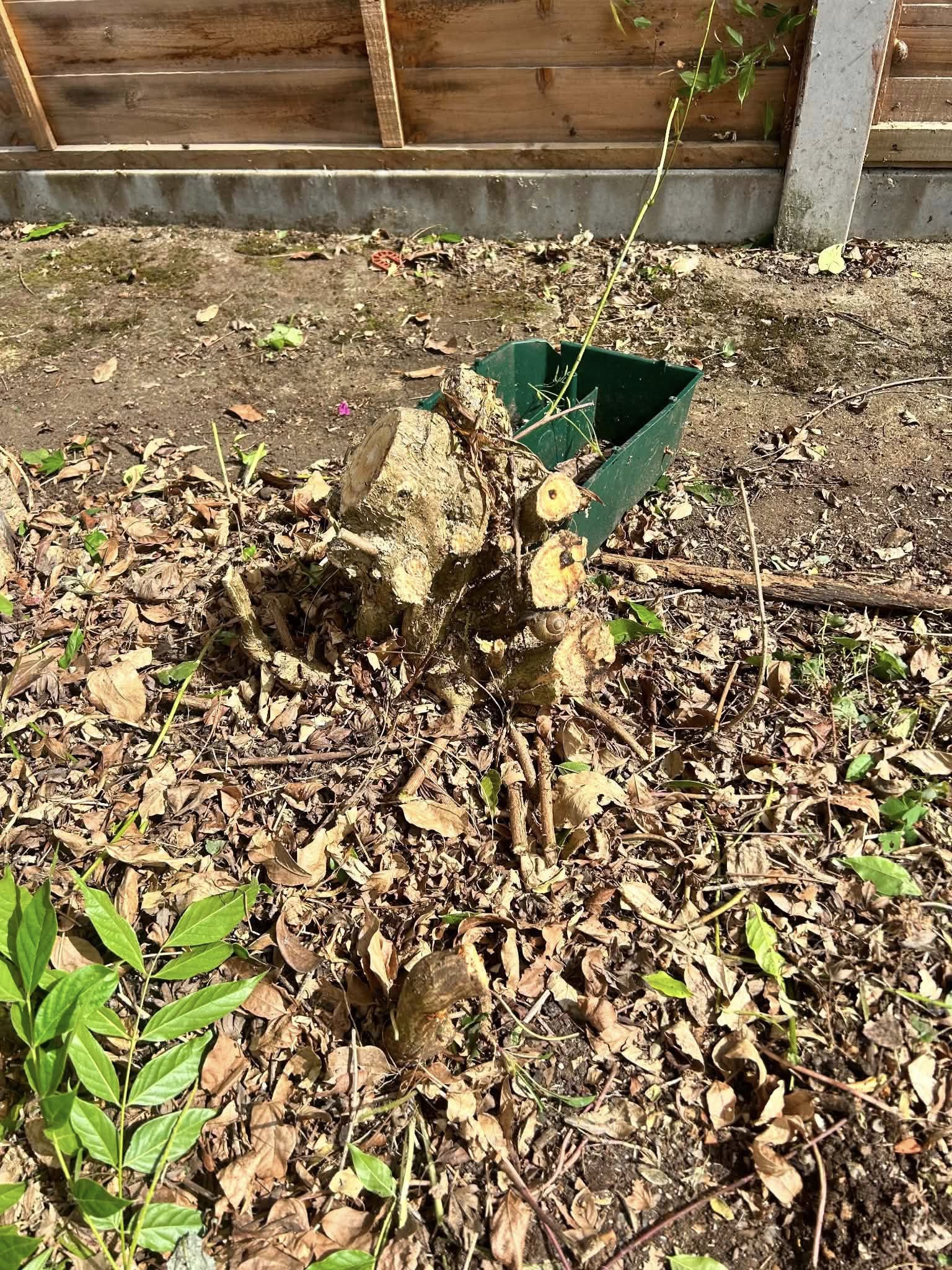Tree stump with green collection box in garden bed